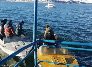 Սևանա լճի տարբեր հատվածներից դուրս է բերվել 18 ձկնորսական ցանց. ՇՄՆ