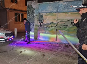 Երևանում «գլխի շրջանում հրազենային վիրավորում» ախտորոշմամբ ԲԿ է տեղափոխվել 43-ամյա կին․ Shamshyan.com