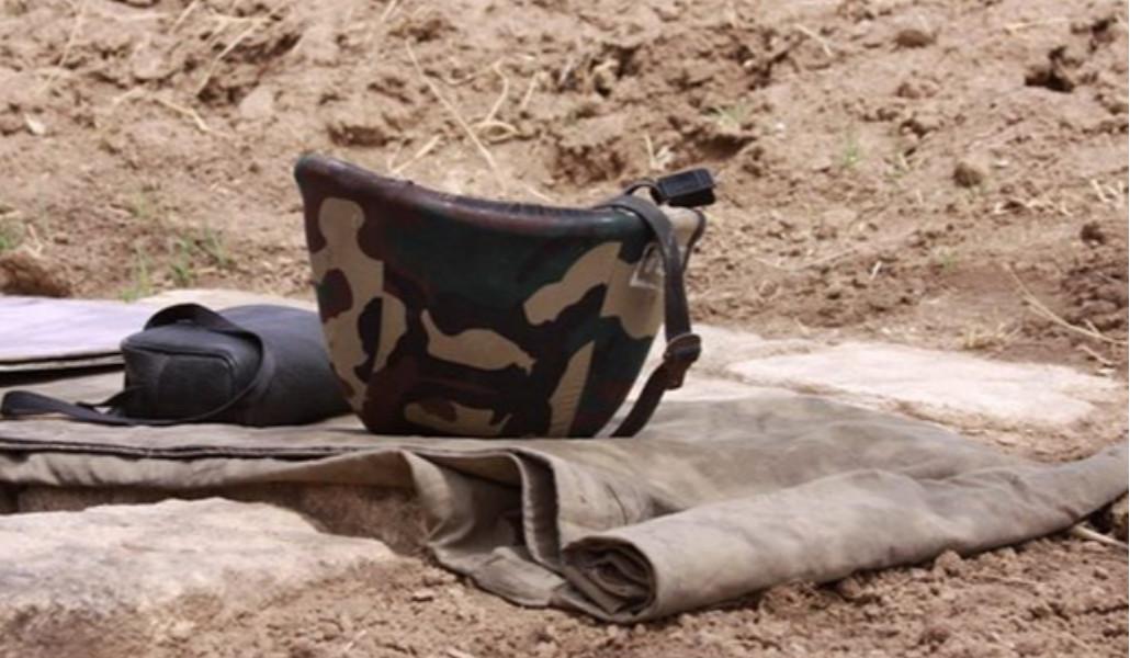 zinwor-e1704376929584