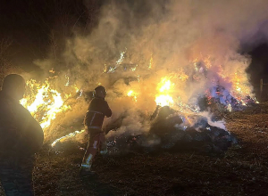 Հաղարծինցի տղամարդը հրդեհել էր թեղուտցու խոտի դեզը