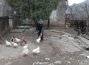 Վլադիմիրի մոտոցիկլը, կարթն ու կատուն