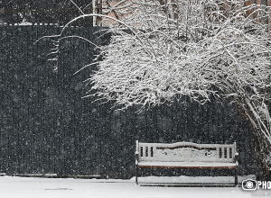 Ձմեռը Երեւանում․ ֆոտոշարք