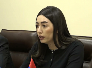 Քննարկվել են տեղահանվածների իրավունքների պաշտպանության երաշխիքների ամրապնդման ծրագրի ուղղությունները