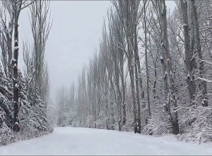 «Ջրվեժ» անտառպարկի տարածք քաղաքացիների մուտքն անվճար է
