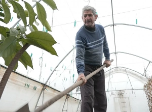 «Կոլխոզ -սովխոզը թամբալ մարդու բան էր»