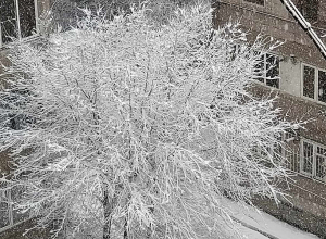 Температура воздуха существенно не изменится