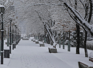 Ожидается погода без осадков: температура воздуха повысится