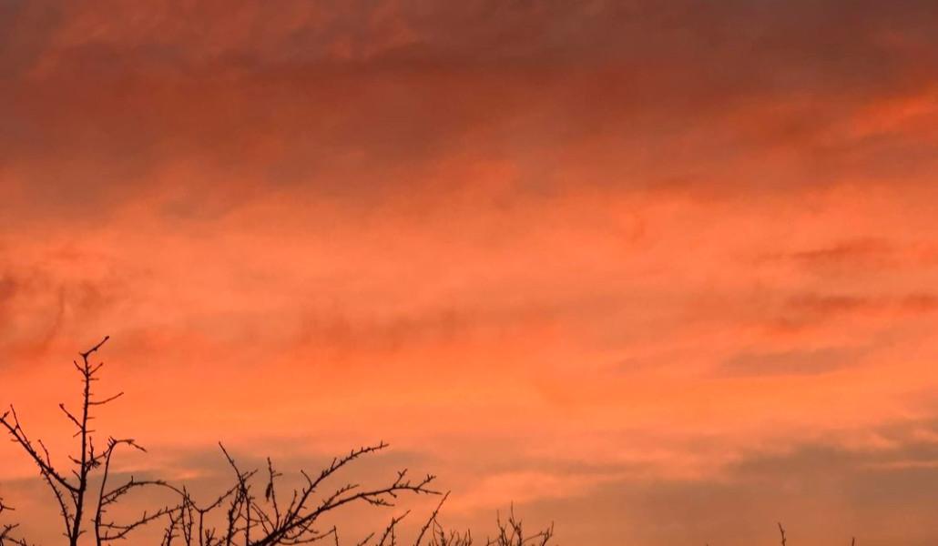 424581674_7453814784681706_6855125145508817148_n