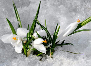 Ռեկորդային տաք օրեր ենք տեսնում. Գագիկ Սուրենյան