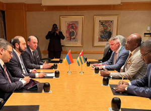 Главы МИД Армении и Того коснулись ситуации безопасности на Южном Кавказе