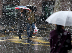 На всей территории республики ожидаются осадки