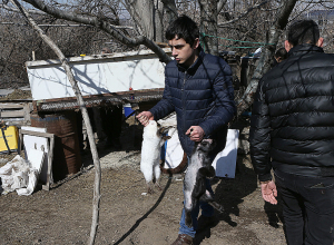 Երևանի քաղաքապետի որոշմամբ քանդվում են Նոր Նորքի այգում կառուցված ապօրինի շինությունները․ ֆոտոշարք