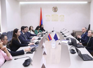 Депутаты НС встретились с послом ЕС