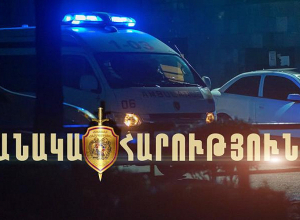 Վեճ, ծեծկռտուք, դանակահարություն. սևանցի եղբայրները ձերբակալվել են