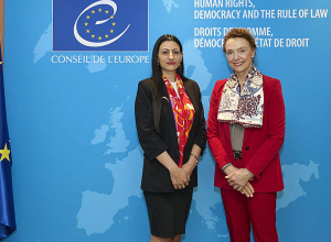 Омбудсмен представила генеральному секретарю СЕ вопросы, связанные с защитой прав вынужденных переселенцев из НК