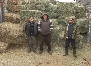 Նախորդ տարվա բերքը՝ տասնյակ տոննաներով կարտոֆիլը, իրացնել չեն կարողացել