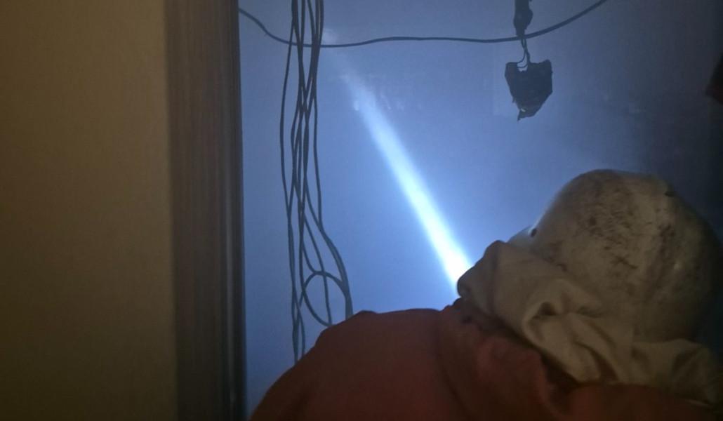 431558604_376305542032221_302185726616316312_n