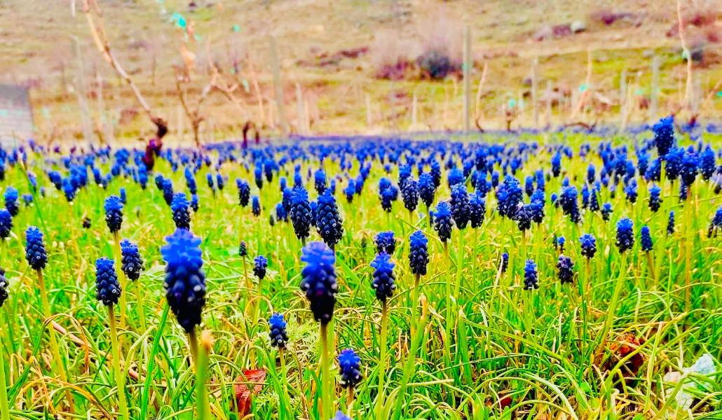 434024313_7606891559374027_1627897039538637314_n