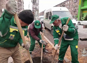 Մեկնարկել են ծառերի փոխարինման աշխատանքները․ քաղաքապետարան