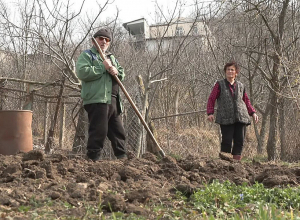 Տավուշցի ամուսինների տունն ու տնամերձ այգին թշնամու դիրքերից մի քանի մետր հեռավորության վրա է գտնվում