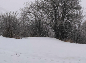 Սպասվում է ձյուն, առանձին հատվածներում՝ առատ