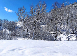 Ожидается снег