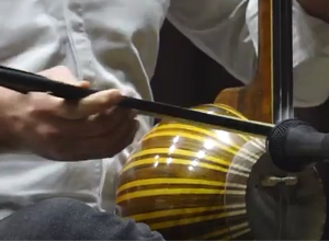 Իրանական Նոր տարին նշվեց նաև Մեղրիում