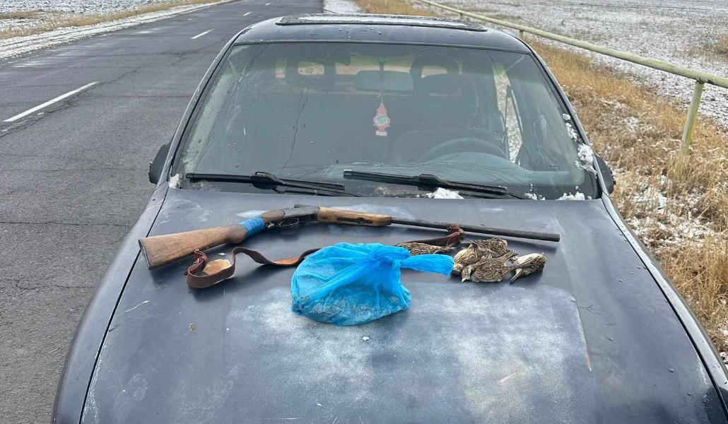 420195262_834632685360421_481487052295550656_n (1)