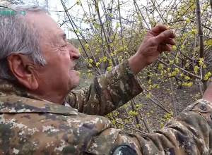 Տավուշի Բերդավանի խնդիրները