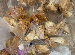 Թմրամիջոցը «Տելեգրամ» հավելվածի միջոցով հետագա իրացման նպատակով ձեռք է բերել եղբայրներից մեկը․ ՔԿ