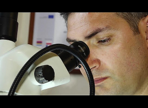 Наградой за добросовестный труд является присвоение звания лучшего