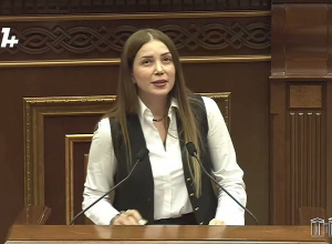 Իրական հայրենիքը դուք եք դարձրել պատմական. Աննա Գրիգորյանը՝ Փաշինյանին