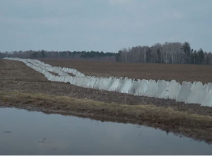 Ուկրաինայի «Վիշապի ատամները» Բելառուսի հետ սահմանին․ ինչպես են ամրացնում սահմանը