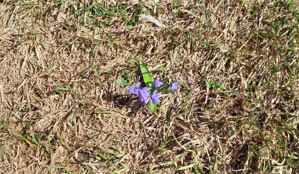 434252194_409124665089312_2229983828897256968_n