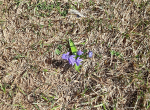 Եղանակը՝ առաջիկա օրերին