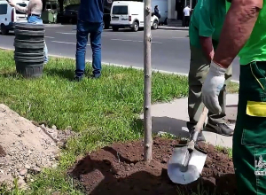 100 նոր ծառ՝ Մալաթիա Սեբաստիայում. Քաղաքապետարան