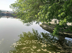 Ապրիլի 17-29-ին հանրապետության մի շարք շրջաններում ջերմաստիճանային ռեկորդներ են գրանցվել