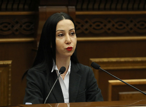 Մերժում ենք Դաշնակցության և Կայսրության համատեղ օրենքի նախագիծը․ Կարապետյան