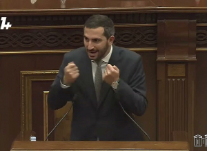 Սա ջունգլի չի, պետք է սահմանագծում արվի. Ռուբինյան