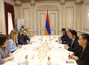 Ален Симонян принял помощника генерального секретаря ООН и регионального директора ПРООН по странам Европы и СНГ Ивану Живкович