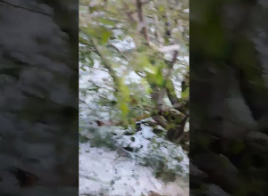 Արագածոտնի մարզի Կարբի գյուղի աղետալի կարկտահարության հետևանքները