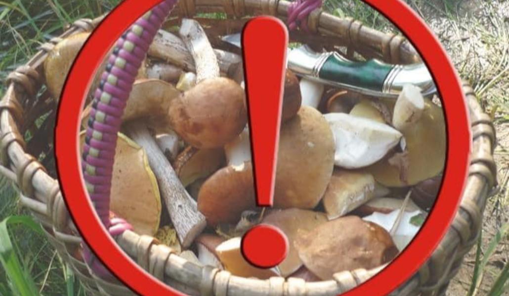 438162820_747551880891497_4759452646212347449_n