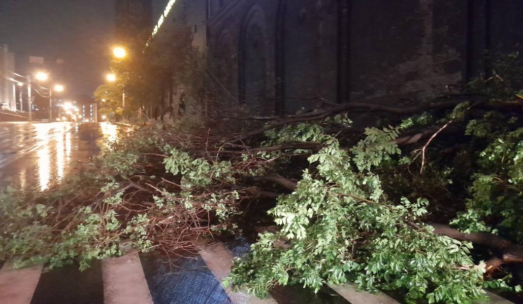 Փրկարարները կոտրված ծառը հեռացրել են ճանապարհի երթևեկելի հատվածից (3)