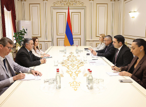 Армения делает всё возможное для установления мира в регионе: Ален Симонян - послу Аргентины