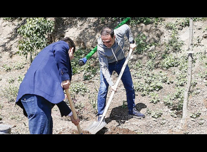 130 ծառ և ավելի քան 2000 թուփ՝ Երևանյան լճի հարակից տարածքում. քաղաքապետարան