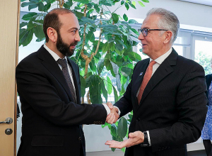 Арарат Мирзоян и президент ПАСЕ обсудили вопросы, связанные с участием РА в Совете Европы