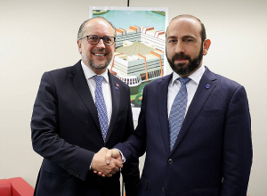 Главы МИД Армении и Австрии обменялись мнениями по региональным вопросам