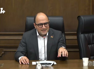 Սահմանազատումը 1 կգ մանդարին չէ՝ այդպես չեն իրականացնում. Մամիջանյան