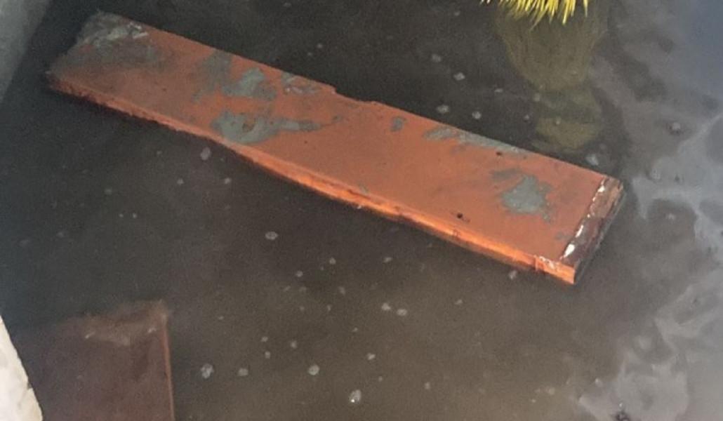 441927909_420623154267126_7731877454505294110_n