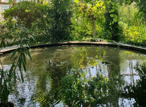 Հունիսի 1-ին Երևանի բուսաբանական այգու մուտքն անվճար է